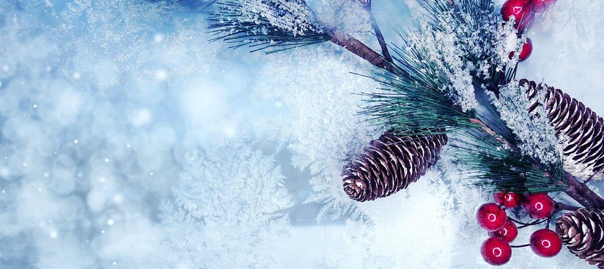 mgfrance-fermeture-fin-annee